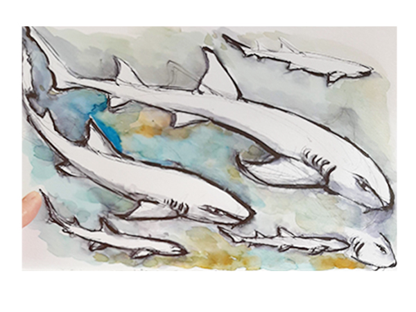 Reiseskizzen Bahamas mnutzDesign