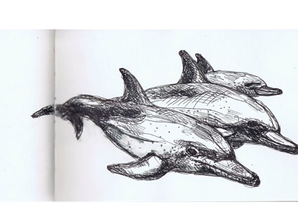 Skizzenbuch mnutzdesign