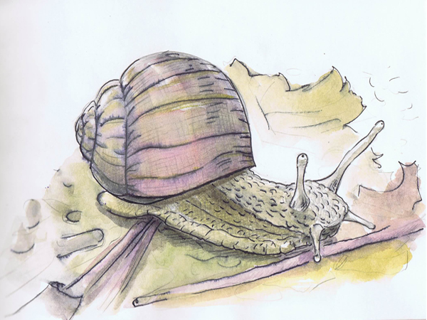 Skizzenbuch mnutzdesign