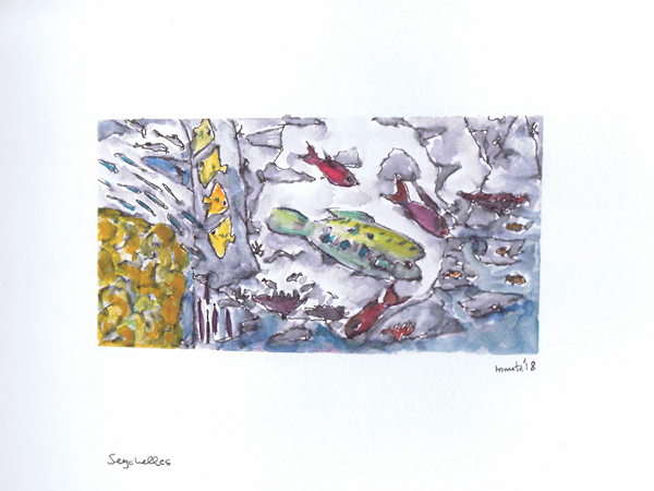 Reiseskizzen Seychellen mnutzDesign