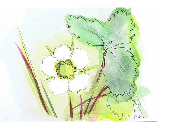 Skizzenbuch mnutzdesign