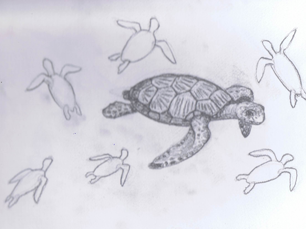 Reiseskizzen Seychellen mnutzDesign