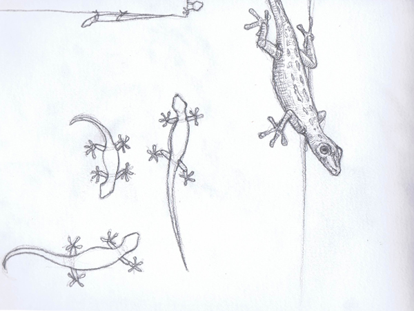 Reiseskizzen Seychellen mnutzDesign