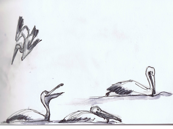 Skizzenbuch mnutzdesign