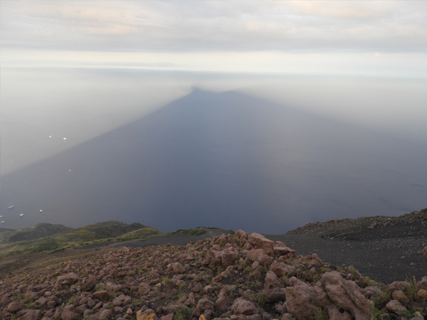 Fotografie mnutzDesign