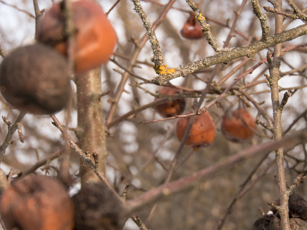 Fotografie mnutzDesign