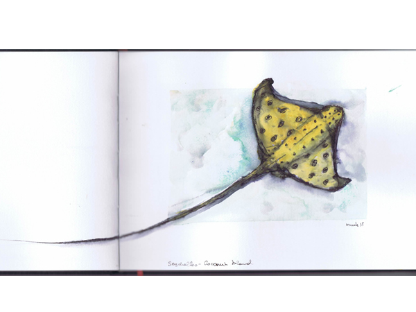 Reiseskizzen Seychellen mnutzDesign