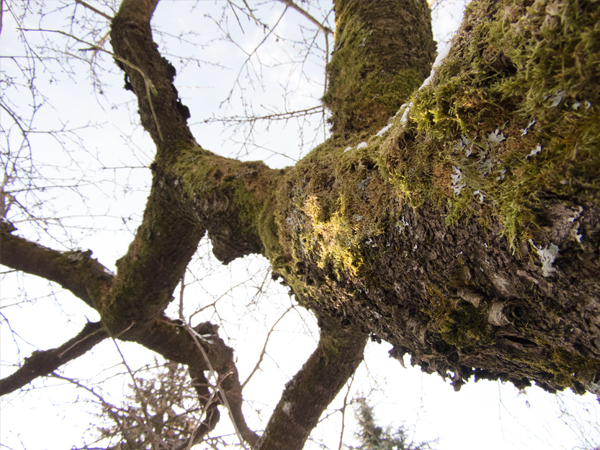 Fotografie mnutzDesign