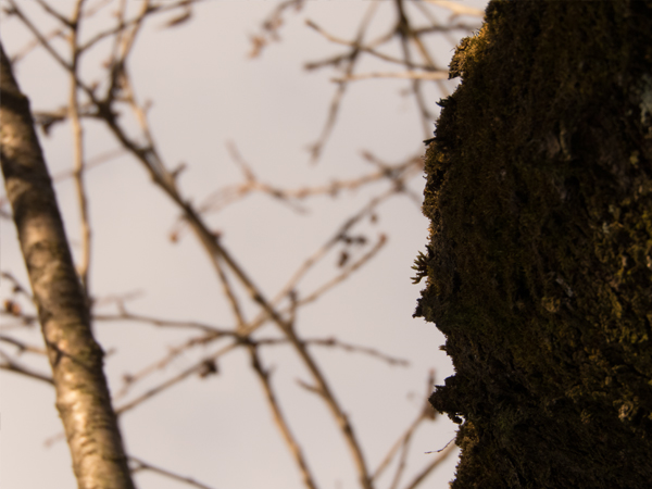 Fotografie mnutzDesign