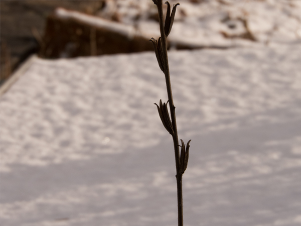 Fotografie mnutzDesign