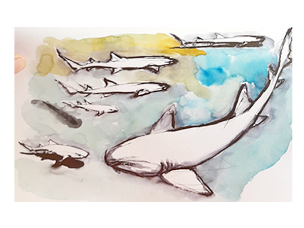 Reiseskizzen Bahamas mnutzDesign