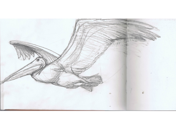 Skizzenbuch mnutzdesign