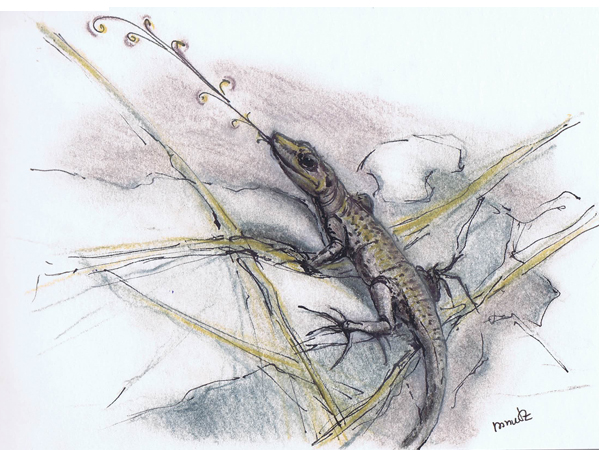 Reiseskizzen Krk mnutzDesign