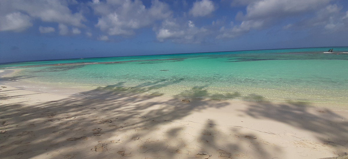 Fotos Bahamas mnutzDesign