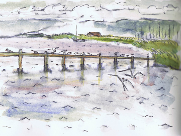 Reiseskizzen Neusiedlersee mnutzDesign