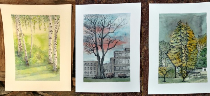 Bäume in Graz: eine Honorierung