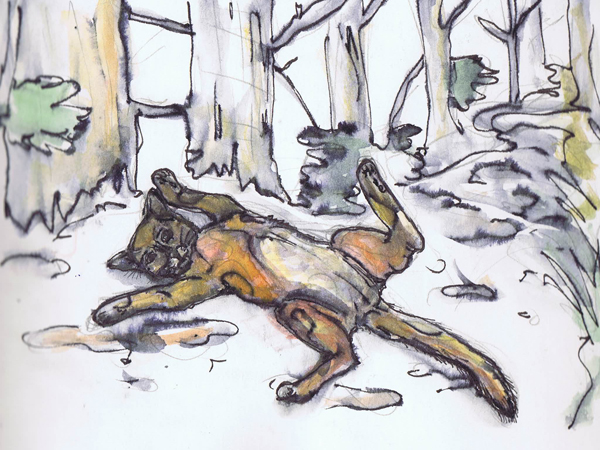 Skizzenbuch mnutzdesign