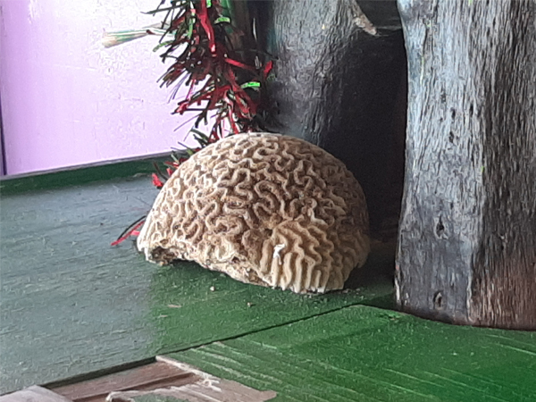 Fotografie mnutzDesign