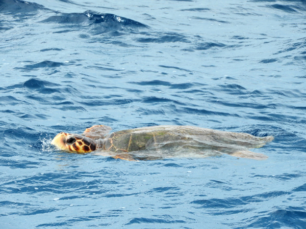 Fotografie mnutzDesign