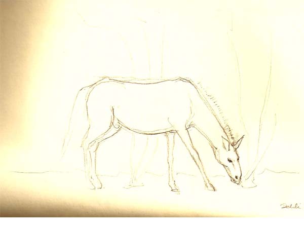 Reiseskizzen Ladakh mnutzDesign