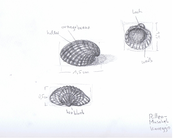 Reiseskizzen Viareggio mnutzDesign