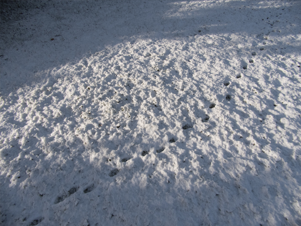 Fotografie mnutzDesign