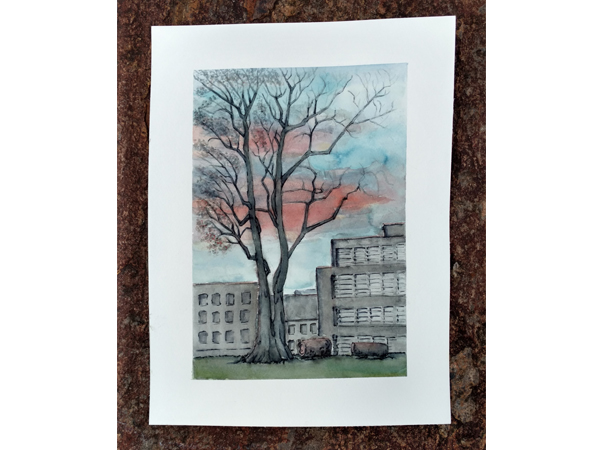 Bäume in Graz Illustration mnutzDesign