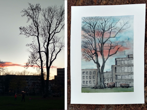 Bäume in Graz Illustration mnutzDesign