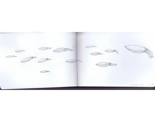 Reiseskizzen Seychellen mnutzDesign