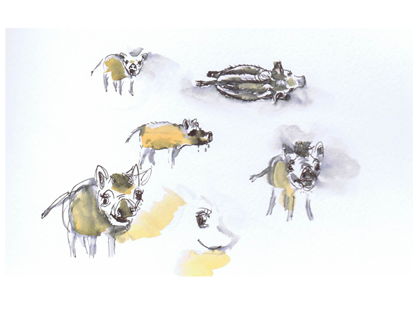 Skizzenbuch mnutzdesign