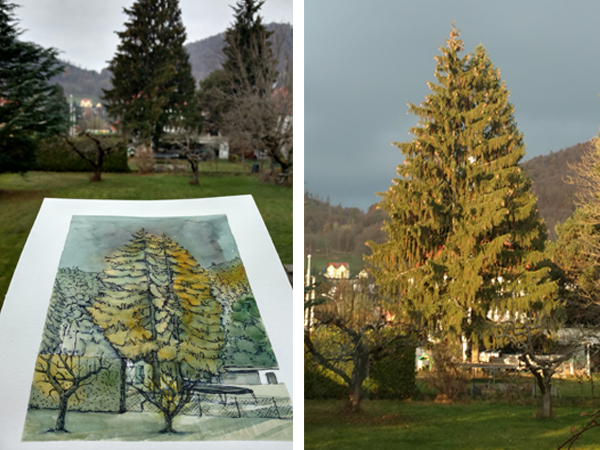 Bäume in Graz Illustration mnutzDesign