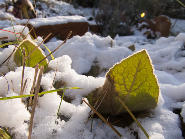 Fotografie mnutzDesign