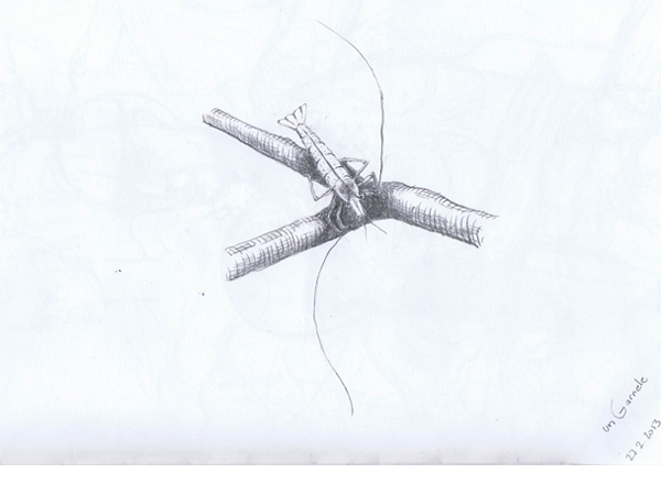 Skizzenbuch mnutzdesign