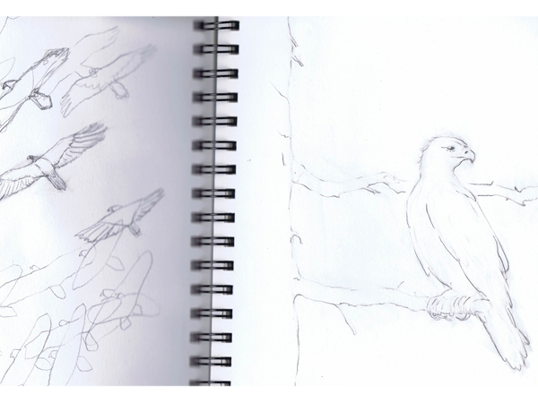 Skizzenbuch mnutzdesign