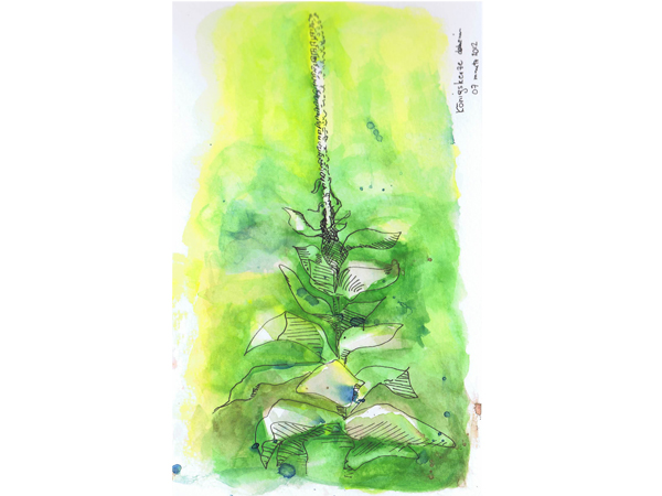 Skizzenbuch mnutzdesign