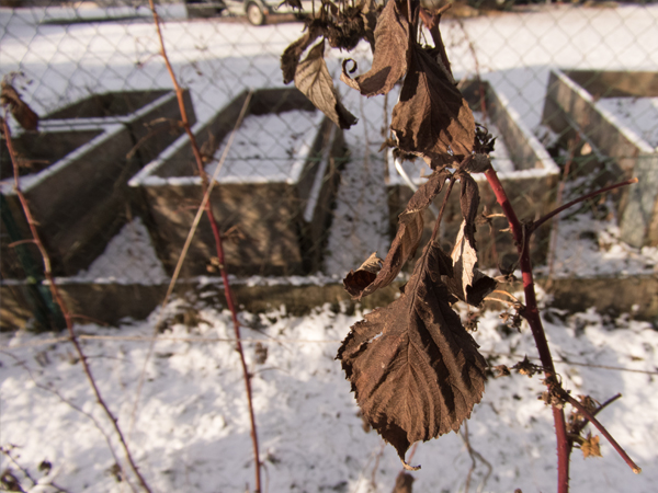 Fotografie mnutzDesign