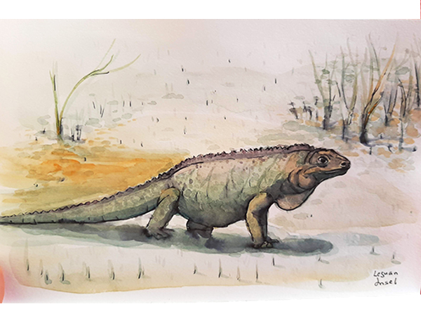 Reiseskizzen Bahamas mnutzDesign