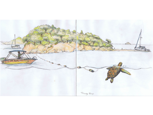 Reiseskizzen Karibik mnutzDesign