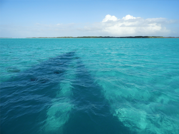 Form Farbe Fotografie mnutzDesign mnutzDesign