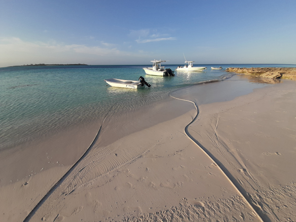 Fotografie mnutzDesign