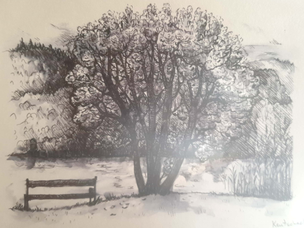 Kärnten - mnutzDesign - Illustration