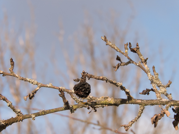 Fotografie mnutzDesign