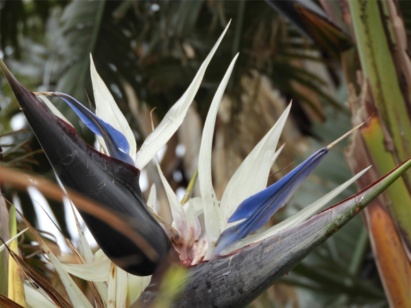 Fotografie mnutzDesign