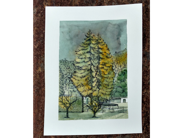 Bäume in Graz Illustration mnutzDesign