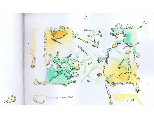 Reiseskizzen Seychellen mnutzDesign