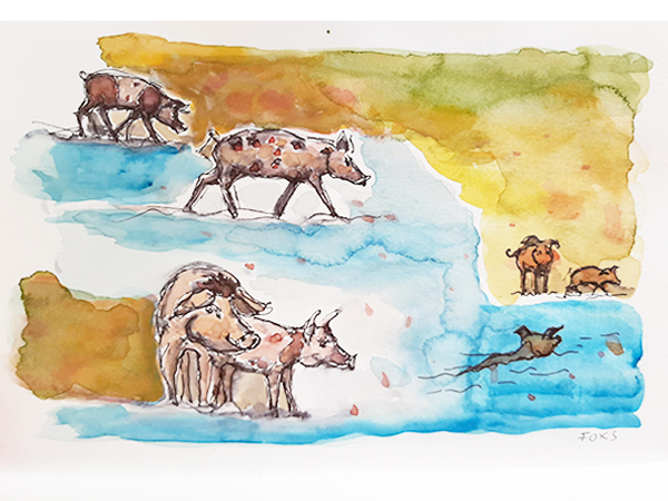 Bahamas - mnutzDesign - Illustration