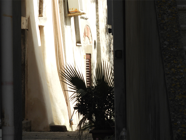 Fotografie mnutzDesign