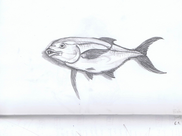 Reiseskizzen Cuba mnutzDesign