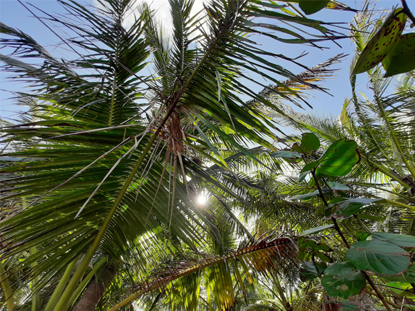 Fotografie mnutzDesign