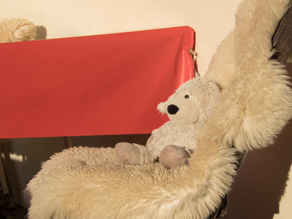 Fotografie mnutzDesign